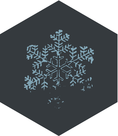 winters_past_icon.jpg