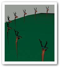 Council of Pronghorn